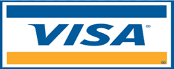 Visa payment